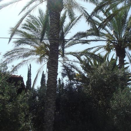 Lisa'S Farm Place Rishon LeZion Rom bilde